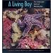 A Living Bay: The Underwater World of Monterey Bay