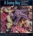 A Living Bay: The Underwater World of Monterey Bay