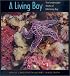 A Living Bay: The Underwater World of Monterey Bay