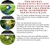 Book The Secret Marketing, Success Principles and Inner Game for Cell Phone Auto  Accessories Biz 3 CD Package