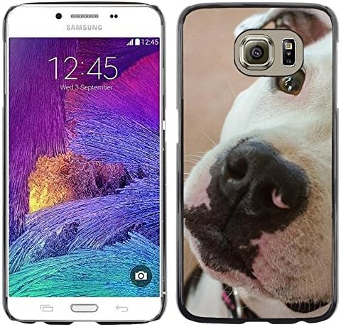 LASTONE PHONE CASE / Slim Protector Hard Shell Cover Case for Samsung Galaxy S6 SM-G920 / Pitbull White Muzzle Close Eye Cute
