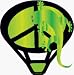 Lizard Fiesta Auto Glass Sticker
