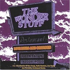 Love Bites & Bruises: Wonder Stuff Anthology