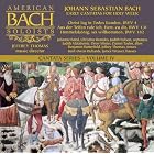 Bach: Cantata Series Volume IV - Early Cantatas for Holy Week (BWV 4, 131, 182) by  American Bach Soloists, Johann Sebastian Bach, Jeffrey Thomas, and Julianne Baird; Christine Brandes; Judith Nelson; Judith Malafronte; Drew Minter; Daniel Taylor; Benjamin Butterfield; Jeffrey Thomas; Kurt-Owen Richards; James Weaver 