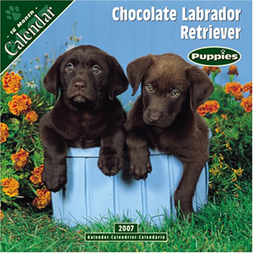 Chocolate