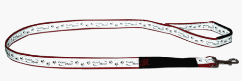 Dog Leash - Reflective for Safety