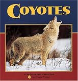 Coyotes