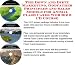 Book The Down and Dirty Marketing, Godfather Principles and Sales Models for Animal Flash Cards Web Biz 3 CD Course