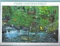 2000 PACIFIC COAST RAIN FOREST (#3378) Souvenir Sheet of 10 x 33 cents US Postage Stamps