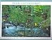 2000 PACIFIC COAST RAIN FOREST (#3378) Souvenir Sheet of 10 x 33 cents US Postage Stamps