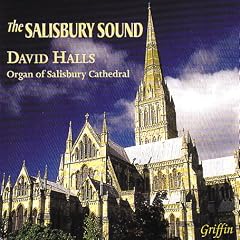 The Salisbury Sound