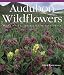 Book Audubon Wildflowers Wall Calendar 2006