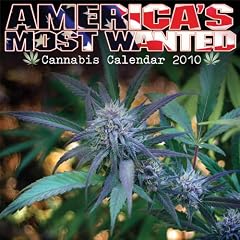 America's Most Wanted 2010 Wall Calendar