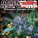 America's Most Wanted 2010 Wall Calendar