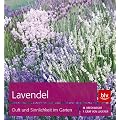 Lavendel: Duft und Sinnlichkeit im Garten