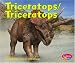 Triceratops  /  Triceratops (Dinosaurios Y Animales Prehistoricos / Dinosaurs and Prehistoric Animals series) (Spanish Edition)