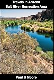 Travels In Arizona - Salt River Recreation Area