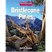 Bristlecone Pines (Wonders of the World (Kidhaven))