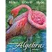 Intermediate Algebra (Hardcover)