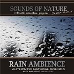 Rain Ambience - Relaxing Sounds of Nature
