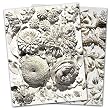 English Trompe l'oeil - Box Set of 12 Assorted Greeting Cards and Patterned Envelopes