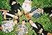 Fanstown BTS bangtan boys Poster in the Mood for Love A3 size thicken coated paper 28cm x42cm with lomo card#1