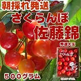 ご予約受付開始！【朝採り絶品・大粒】山形県東根産秀選さくらんぼ佐藤錦Ｌ・ＬＬ５００グラム　6月中旬～7月上旬出荷予定です《常温発送》