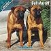 Bull Mastiff 2010 Wall Calendar #10113-10