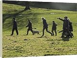 from ArcticPhoto Canvas Prints of Guns, beaters and their dogs walk to another drive from ArcticPhoto