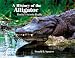 Search : A History of the Alligator: Florida's Favorite Reptile