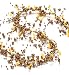 Info/Buy Gilded Pearl Set