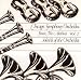 Chicago Symphony Orchestra: From the Archives, Vol. 2: Soloists of the Orchestra: Actual Performances Never Before Released (WFMT/Chicago Symphony Radio Marathon XII Special Edition)
