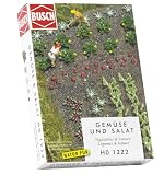 H0 BU VEGETABLES AND SALAD