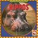 Hippos (Animals I See at the Zoo.)