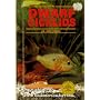 Dwarf Cichlids