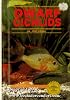 Dwarf Cichlids