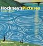 Hockney's Pictures