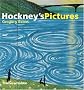 Hockney's Pictures