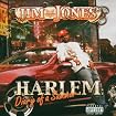 Harlem: Diary of a Summer