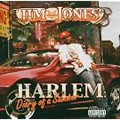 Harlem: Diary of a Summer