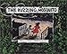 THE BUZZING MOSQUITO