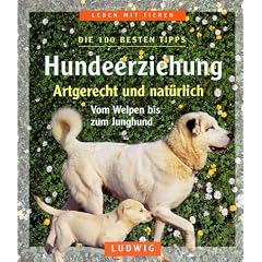 Hundeerziehung