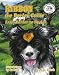 Ribbon the Border Collie