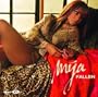 Fallen (The Remix Plus)