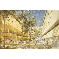 The Architecture of Hospitals