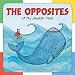 The Opposites of My Jewish Year (Very First Board Books)