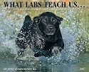 What Labs Teach Us 2007 Calendar