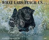 What Labs Teach Us 2007 Calendar