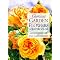 The Floral Watercolor Essential Library