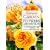 Glorious Garden Flowers in Watercolor